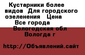 Кустарники более 100 видов. Для городского озеленения › Цена ­ 70 - Все города  »    . Вологодская обл.,Вологда г.